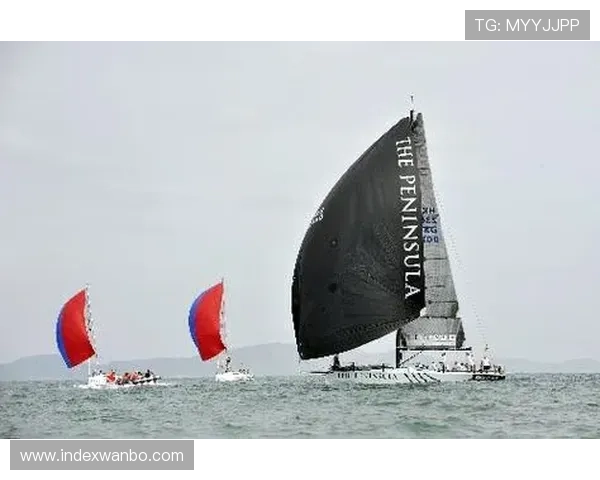 免费获取半岛体育下载入口，轻松安装享受丰富体育赛事内容